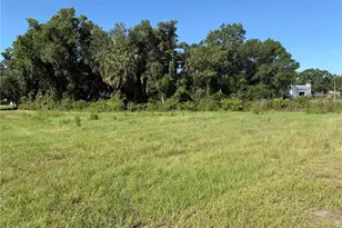 Dossey Road S, Lakeland, FL 33811 - Photo 1