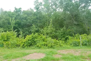 6131 Doe Cir E, Lakeland, FL 33809 - Photo 23