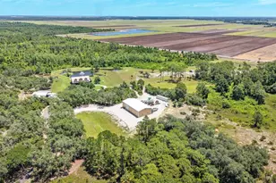 339 Mini Ranch Rd, Sebring, FL 33870 - Photo 41