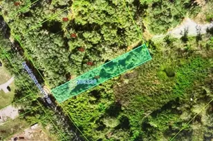 0 Avon Park Cutoff Rd, Frostproof, FL 33843 - Photo 1