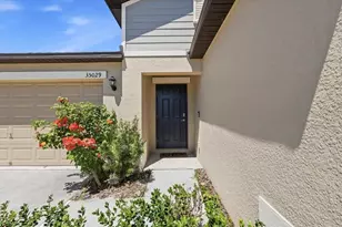 35029 Brackett Bnd, Zephyrhills, FL 33541 - Photo 13