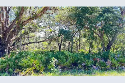 922 Poinciana Drive, Indian Lake Estates, FL 33855 - Photo 7