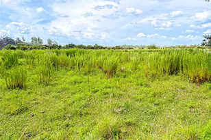 4706 Co Rd 557A, Polk City, FL 33868 - Photo 25