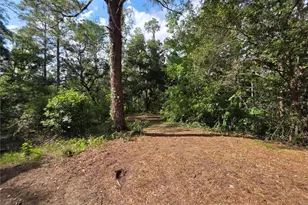 11344 Rockridge Rd, Lakeland, FL 33809 - Photo 27