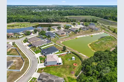 4769 Hickory Stream Lane, Mulberry, FL 33860 - Photo 47