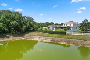 4769 Hickory Stream Ln, Mulberry, FL 33860 - Photo 45