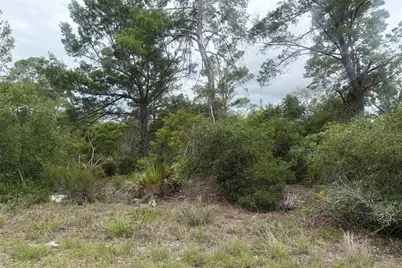 105 Hoover Avenue NE, Lake Placid, FL 33852 - Photo 1