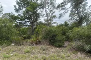 105 Hoover Ave NE, Lake Placid, FL 33852 - Photo 1