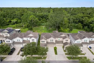 14621 Rocky Brook Dr, Tampa, FL 33625 - Photo 67