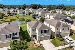 3509 Diamond Leaf Ct, Valrico, FL 33594 - Photo 43