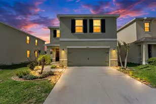 3509 Diamond Leaf Ct, Valrico, FL 33594 - Photo 1