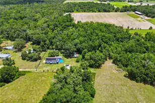 3126 Toole Rd, Lithia, FL 33547 - Photo 53