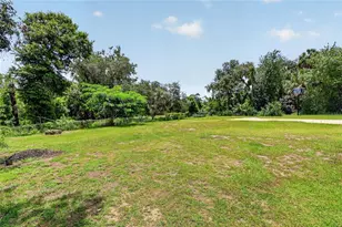 3126 Toole Rd, Lithia, FL 33547 - Photo 43
