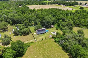 3126 Toole Rd, Lithia, FL 33547 - Photo 55