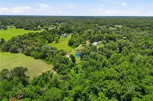3126 Toole Rd, Lithia, FL 33547 - Photo 61
