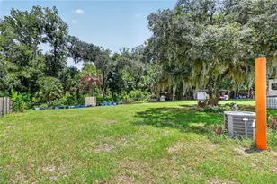 3126 Toole Rd, Lithia, FL 33547 - Photo 47