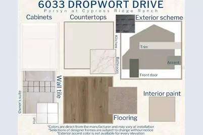 6033 Dropwort Drive, Wimauma, FL 33598 - Photo 3