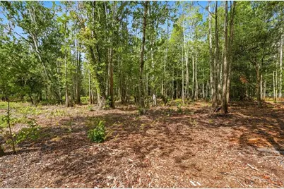 1425 Pioneer Drive, Lakeland, FL 33809 - Photo 39