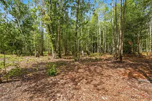 1425 Pioneer Dr, Lakeland, FL 33809 - Photo 39