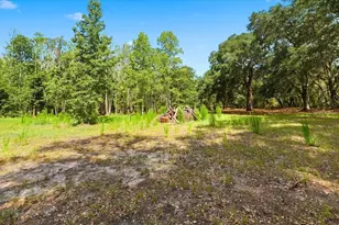 1425 Pioneer Dr, Lakeland, FL 33809 - Photo 35