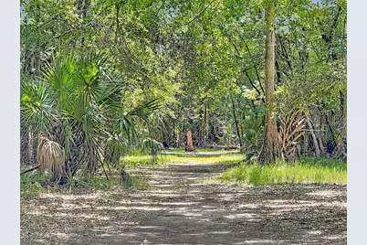 273 Griffin Road, Wauchula, FL 33873 - Photo 43