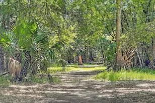 273 Griffin Rd, Wauchula, FL 33873 - Photo 43