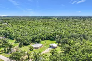 273 Griffin Rd, Wauchula, FL 33873 - Photo 47