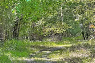 273 Griffin Rd, Wauchula, FL 33873 - Photo 41