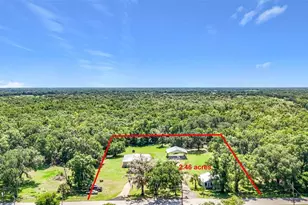 273 Griffin Rd, Wauchula, FL 33873 - Photo 5
