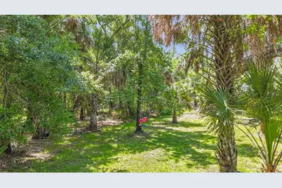 273 Griffin Road, Wauchula, FL 33873 - Photo 37