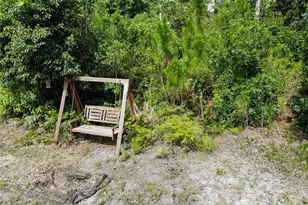 9909 Old Dade City Rd, Lakeland, FL 33810 - Photo 43