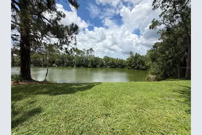 15637 Morning Drive, Lutz, FL 33559 - Photo 1