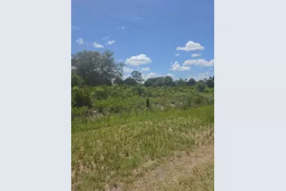 665 S Live Oak Street, Clewiston, FL 33440 - Photo 3