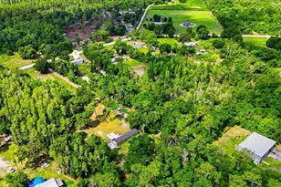 303 Wildlife Trail, Lakeland, FL 33809 - Photo 11