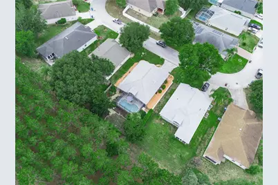 239 China Berry Circle, Davenport, FL 33837 - Photo 41
