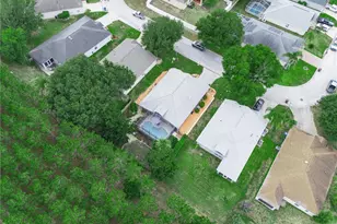 239 China Berry Cir, Davenport, FL 33837 - Photo 41