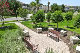 8775 Sentiero Dr, Land O Lakes, FL 34637 - Photo 73