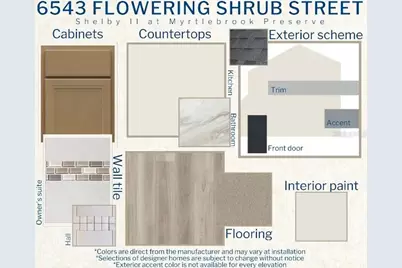 6543 Flowering Shrub Street, Lakeland, FL 33810 - Photo 3