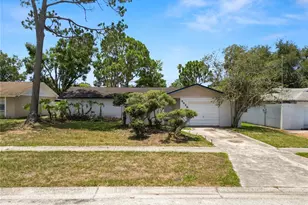 5028 Headland Hills Ave, Tampa, FL 33625 - Photo 1