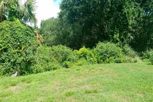 206 Mary Catherine Ct, Lakeland, FL 33809 - Photo 23