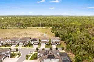 11490 Calusa Trails Way, Riverview, FL 33569 - Photo 47