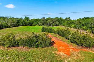 Deer Rd, Frostproof, FL 33843 - Photo 1