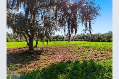 Deer Road, Frostproof, FL 33843 - Photo 3