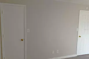 6918 Trout St, Tampa, FL 33617 - Photo 21
