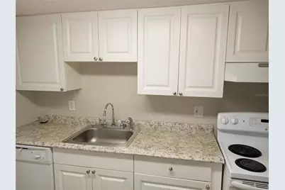 6918 Trout Street, Tampa, FL 33617 - Photo 5