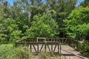 3803 Young Rd, Lake Wales, FL 33898 - Photo 17