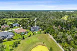 5804 Thoreau Pl, Lithia, FL 33547 - Photo 69