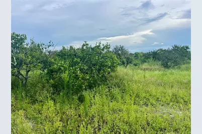 Hayman Road, Wauchula, FL 33873 - Photo 3