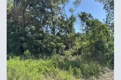 7157 Glory Road, Zephyrhills, FL 33540 - Photo 3