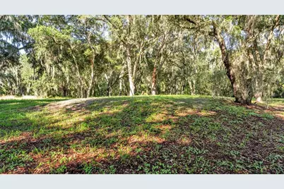 6923 Orianna Oaks Drive, Plant City, FL 33567 - Photo 7